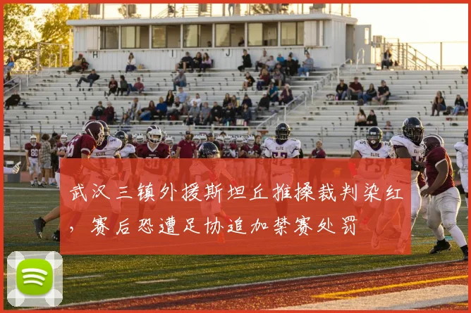 武汉三镇外援斯坦丘推搡裁判染红，赛后恐遭足协追加禁赛处罚