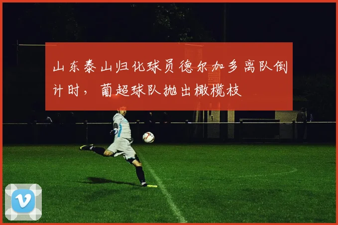 山东泰山归化球员德尔加多离队倒计时，葡超球队抛出橄榄枝